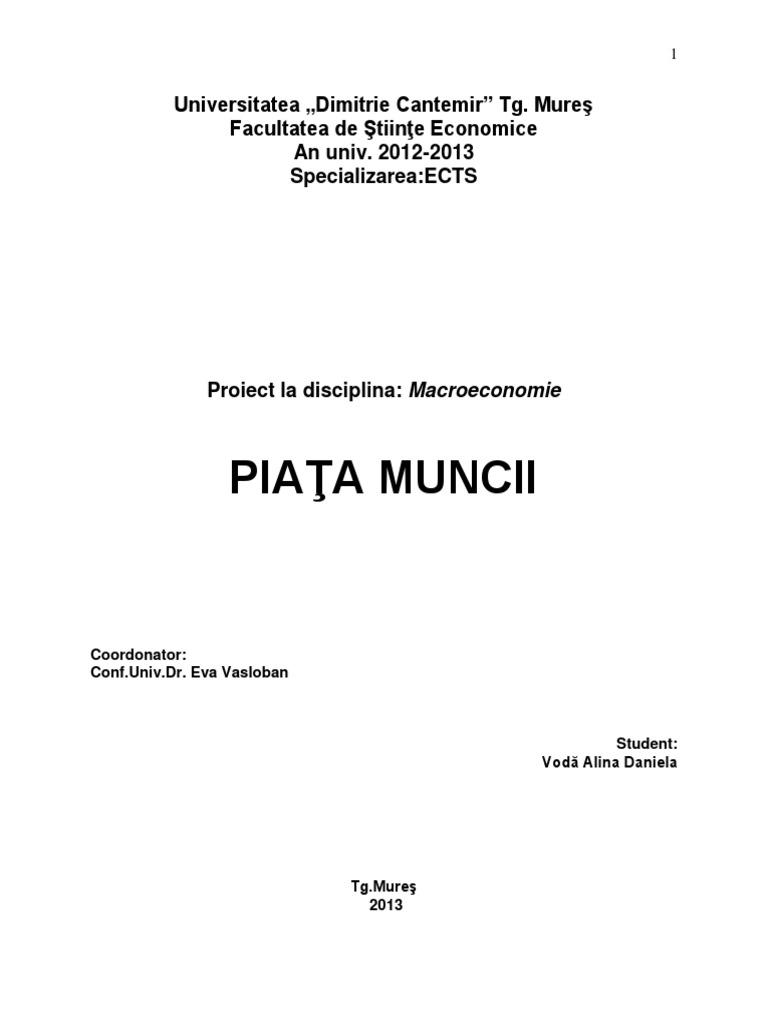 Piata Muncii PDF