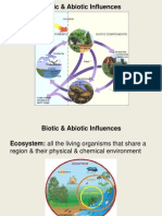 Biotic-Abiotic-Factors-Lesson1 1