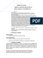 Informe de Auditoria Ambiental