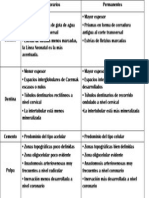 Cuadro Comparativo Temporarios y Permanentes