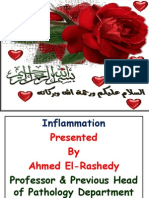 Inflammation Dr. Elrashedy PDF