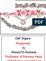 WEEK 5 Cell injury.pdf