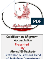 WEEK 9 Calcification & Pigmentation PDF