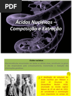 Ácidos Nucléicos – Composição e Extração