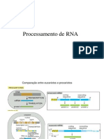 aula de biologia moleculara