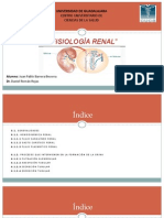 Fisiología Renal