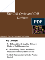 hillis Ch07 Lecture-The Cell Cycle and Cell Division.ppt