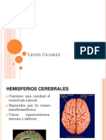 Anatomia Rad Hemisferios