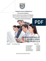 Informe Modelo OPM3