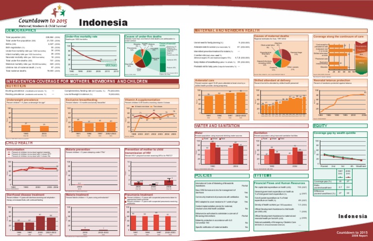 Indonesia Maternal and Child Health Data | PDF | Maternal Death ...