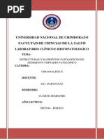 INVESTIGACION Estructuras y Elementos Patológicos en Sedimento Urinario Patológico