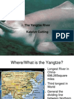 Yangtze River Presentation