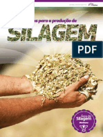 Recomendações para produção de silagem de milho