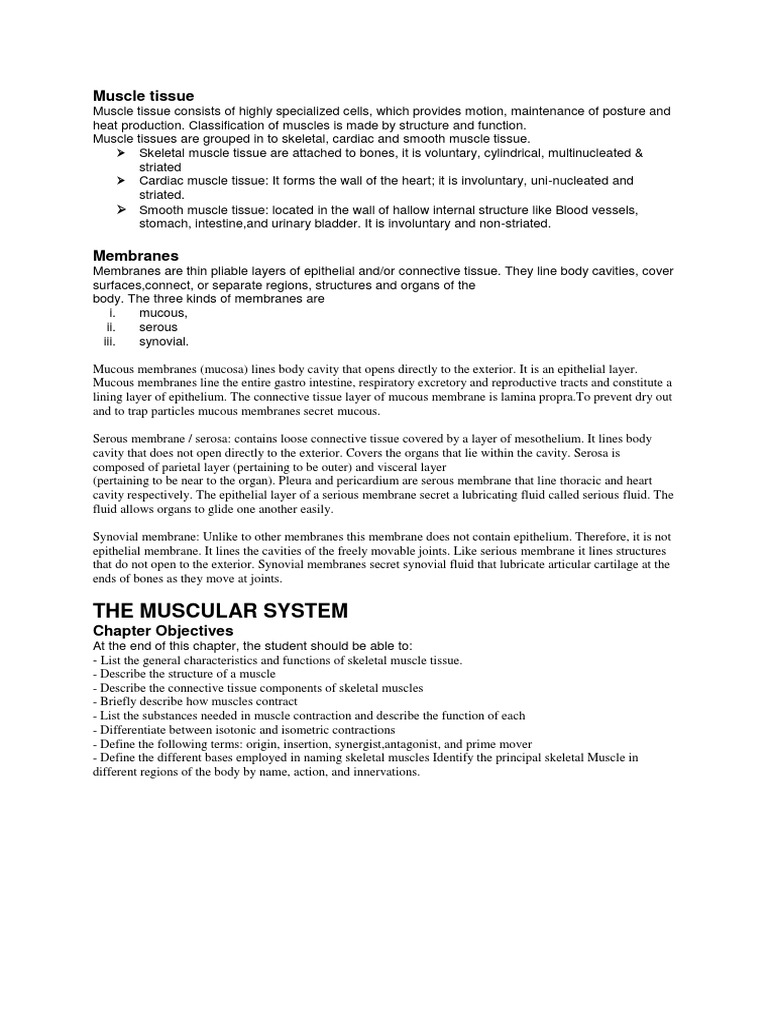 Classification, Structure, and Functions of the Three Main Types of