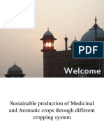 Sustainable production of Medicinal and Aromatic Plants through different cropping systems