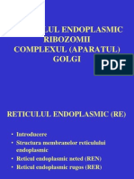 Curs Nr. 8 Organite Citoplasmatice - RE Rib CXG