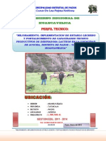 Proyecto Producproyecto de Truchas Huancavelicaivo - Hvca
