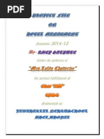 Download IP Project File CLASS 12 by SrSiddharth SN249150279 doc pdf