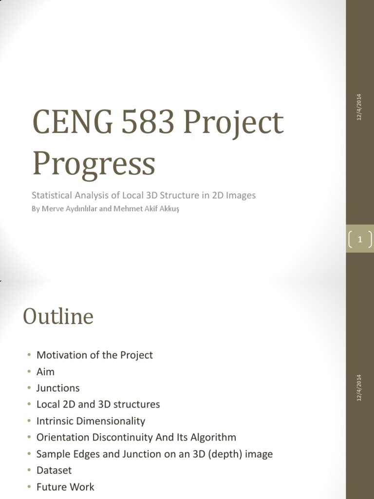 Statistical Analysis of 3D Structures in 2D Images | PDF | Areas Of ...