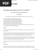 ABORDAJES QUIRURGICOS.pdf