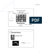 IV Protozoarios