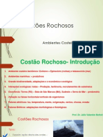 Aula Prof - Julio Costao Rochoso