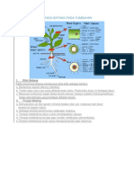 Struktur Dan Fungsi Batang Pada Tumbuhan - Docx Madi