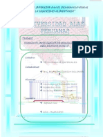 Trabajo de Investigacion Distrito de Huamaly