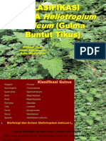 Gulma