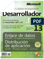 Desarrollo Net 13