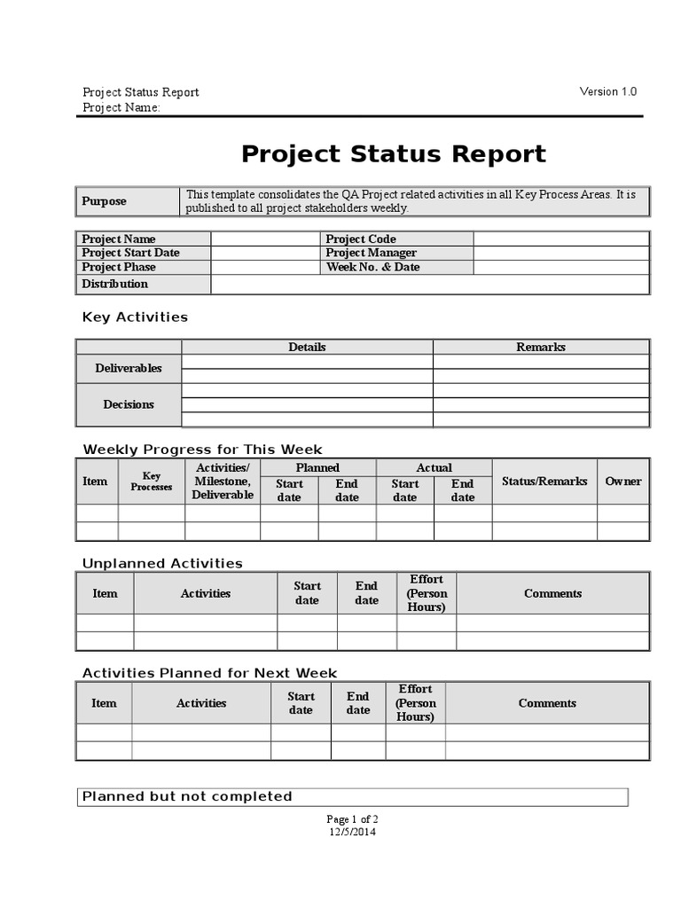 Project Status Report Template