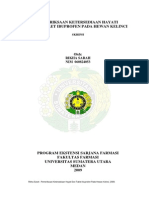 Desain PDF