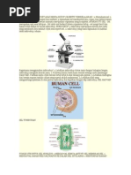 Sains Tingkatan 1 (bab 3 Jirim) Sains Tingkatan 1 (bab 3 Jirim)