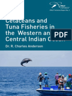 Indian Ocean Fisheries Influence On Tuna and Dolphin