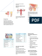 Kesehatan Reproduksi Pamflet