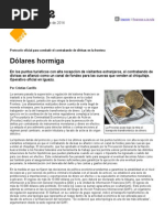 Página 12 Cash Dólares Hormiga