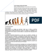 Principales CaraEVOLUCION HUMANActerísticas de La Etapa Evolutiva Del Hombre
