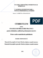 Curriculum stagii practica X estetica.pdf