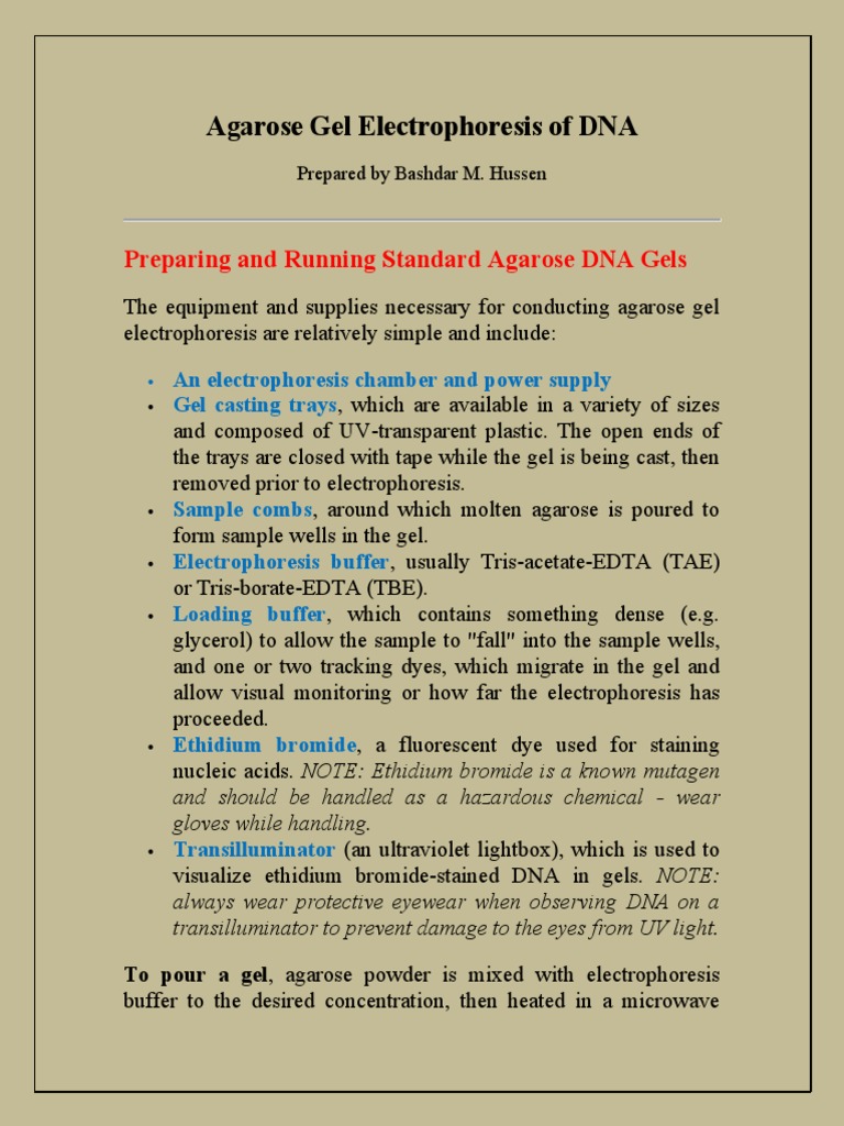 Agarose Gel Electrophoresis Guide | PDF | Agarose Gel Electrophoresis ...
