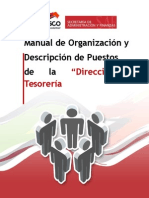 Plantilla Manual de Org y Desp de Puestos