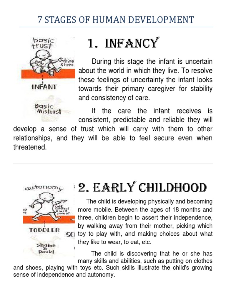 essay about stages of human development