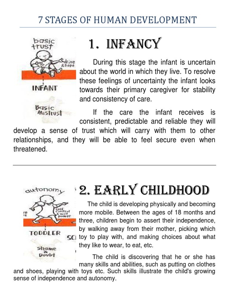 7 Stages Of Human Development Adolescence Developmental Psychology