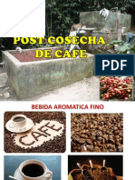 Cosecha - Postcosecha de Cafe