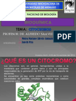 Citocromo