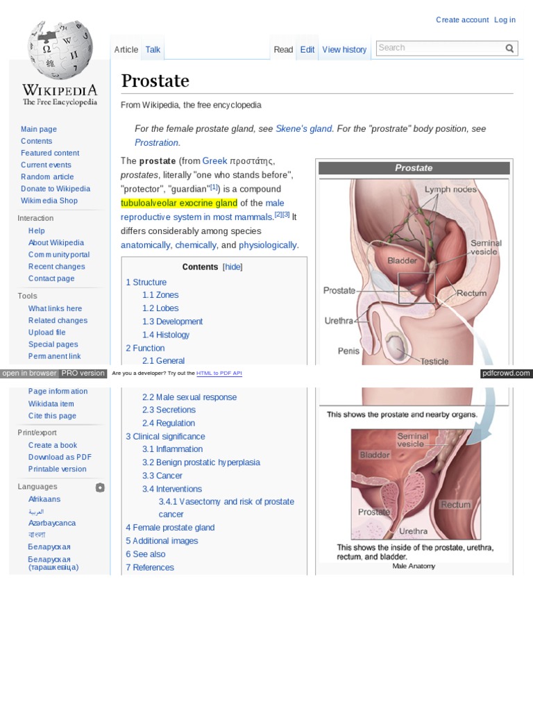prostate wiki meaning