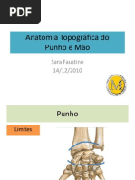 Punho e Mão (3)