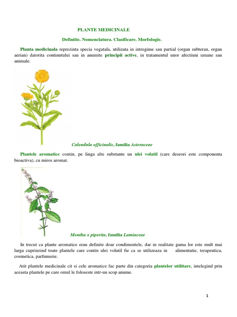 PLANTE MEDICINALE - Definitie Nomenclatura Clasificare Morfologie | PDF