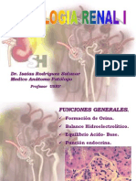 Clase 5. Patologia Renal I