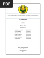 Download Laporan praktikum GEL PIROXICAM by Maharani Dwi Pratiwi SN249335526 doc pdf