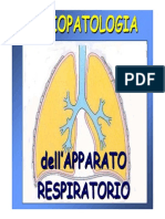 Fisiopatologia App. Respiratorio